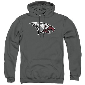 North Carolina Central University Official Distressed Primary Adult Pull-Over Hoodie - 1 of 4