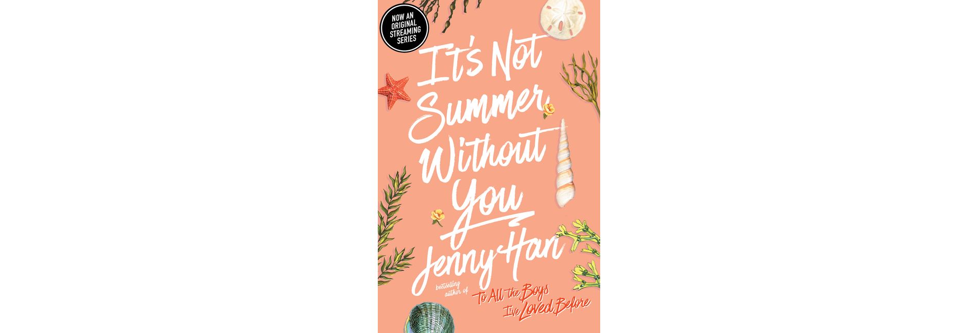 It's Not Summer Without You ( Summer) (Reprint) (Paperback) by Jenny Han