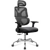 Ergonomic Big and Tall Office Chair, Adjustable Mesh Desk Chair with Lumbar Support and Armrests, Reclining for Long Hours - 3 of 4