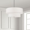 Dainolite Everly 4 - Light Pendant in  Satin Chrome - 2 of 4