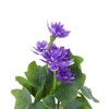 Unique Bargains Artificial Plants 5-Piece Mini Lotus Plastic 3.54"x3.54"x7.09" 1 Pcs - 4 of 4