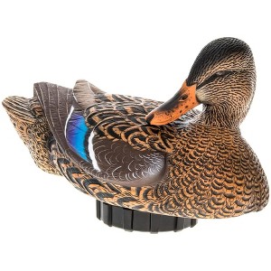 Avian X Power Shaker Motion Mallard Hen Preener Decoy, with Authentic Feeding and Preening Motion to Fool Wary Fowls, 10 Hour Battery Life - 1 of 4
