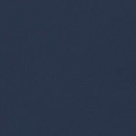 navy blue and gold