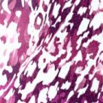 berry abstract print