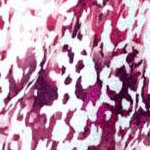 berry abstract print
