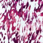 berry abstract print