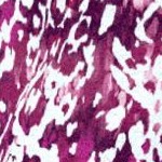 berry abstract print