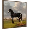 Amanti Art The Fast One 1828 by Anthony Oberman Framed Canvas Wall Art - 3 of 4