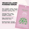 Pacifica Vegan Collagen Hydrate and Plump Facial Mask - 0.67 fl oz - 3 of 4