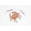 Collectible Wildlife Gifts | Crab, Dungeness Crab, Museum Quality, Rubber, Crustaceans, Realistic, Hand Painted,  Figurine,  Gift,   3" CWG253B 240 - 2 of 4