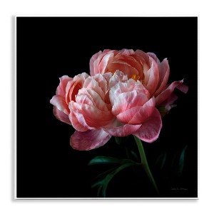 Stupell Industries Dark Rose Photography Wall Plaque Art, 12" x 12" - 1 of 4