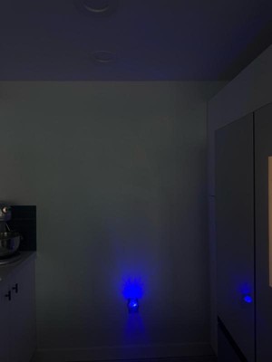 Guest review image 1 of 1, zoom in
