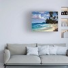 Trademark Fine Art -Anthony Casay 'Tropical Beach' Canvas Art - 2 of 4