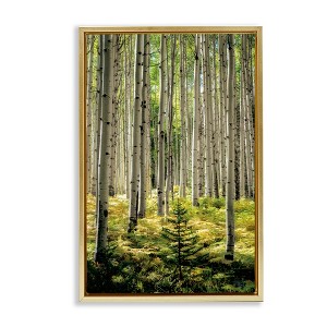 Stupell Industries Small And Tall Birch Forest Floating Frame Canvas Art - 1 of 4