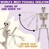 Joyfy 16” 5 PCS Halloween Full Body Poseable Skeleton, Full Body Hanging Skeletons with Movable Joints for Graveyard Haunted House Party Prop Decor - 2 of 4