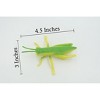 Grasshopper, Locusts, Rubber Insect, Realistic Figure, Lifelike, Model, Replica, Toy, Kids, Educational, Gift,     4 1/2 Inches    ABC10 B263 - 2 of 4