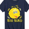 Boys' - Sesame Street - Big Bird Face Short Sleeve Graphic T-Shirt - 2 of 4