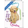 Trends International Keith Kimberlin - Puppy - Pup-A-Gram Unframed Wall Poster Prints - 3 of 4