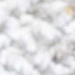 taupe, mustard, light gray, off white