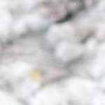 taupe, mustard, light gray, off white