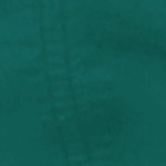 dark green/navy blue