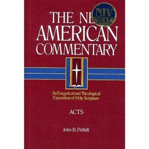 Acts - (New American Commentary) by  John B Polhill (Hardcover) - 1 of 1