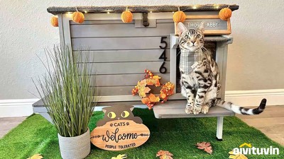 Insulated Wooden Outdoor Cat House with Warm Liner