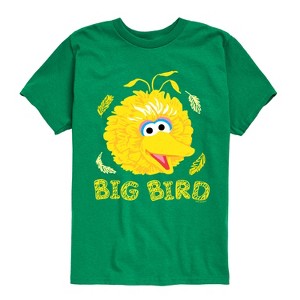 Boys' - Sesame Street - Big Bird Face Short Sleeve Graphic T-Shirt - 1 of 4