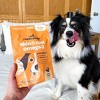 Ready Pet Go Skin & Coat Omega-3 Health Chews, Omega-3 Fish Oil for Dogs Skin & Coat and Heart & Joint Support, Fish & Cheese Flavor, 60 or 90ct - 4 of 4
