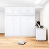 Mshliw Queen Size Murphy Bed with Desk, Storage Cabinets and Shelves, Foldable Wall Bed with Hydraulic Lift Mechanism, Space Saving Design - 2 of 4