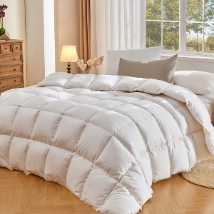 Inhand Down Feather Fiber Comforter - All Season Luxury Duvet Insert, Warm Fluffy Comforter with Premium Cover - 1 of 4