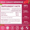 NATURE TARGET Berberine HCl 1200mg with Ceylon Cinnamon, Chromium - 2 of 4