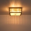 Rennnsan Aemrie 12" W 4 - Light Rectangle Glass Modern Glam Dimmable Semi Flush Mount in Gold - 4 of 4