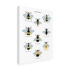 Trademark Fine Art - Sarah Frances British Bees Canvas Art - 4 of 4