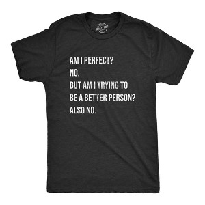 Mens Am I Perfect No T Shirt Funny Sarcastic Self Improvement Joke Novelty Tee For Guys - Crazy Dog Men's T Shirt - 1 of 4