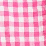 raspberry sorbet gingham