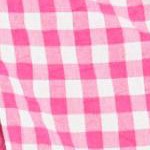 raspberry sorbet gingham