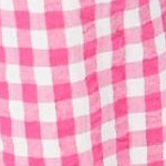 raspberry sorbet gingham
