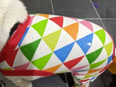 Colorful Triangle Print Dog Pajamas - Xl - Wondershop™ : Target