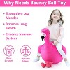iPlay, iLearn Bouncy Pals Kids Flamingo Hopper Ball - 2 of 3