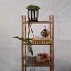 Storied Home Hand-Painted Terra-cotta Planter with Saucer, Black & White (Holds 6" Pot) - 3 of 4