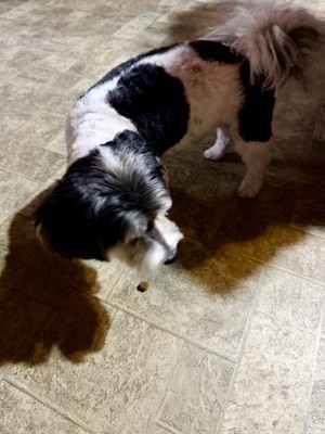 Guest review image 1 of 1, zoom in