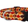 Country Brook Design® Deluxe Dog Collar - Awesome Autumn Collection - Made In The U.S.A. - 4 of 4