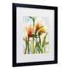 Trademark Fine Art Sheila Golden Birds of Paradise Matted Framed Art - 3 of 4