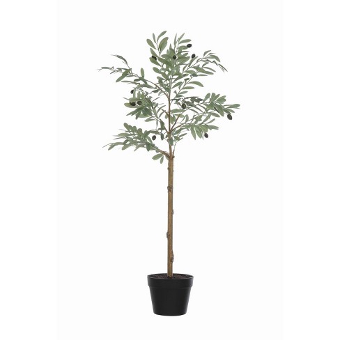 Homlux 6ft Artificial Olive Tree With Woven Seagrass Plant Basket : Target