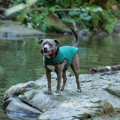 Medium Black and Green Reversible Faux Fur Dog Coat