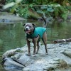 FurHaven Flex-Fit Reversible Dog Coat - 3 of 3