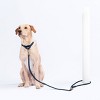 AWOO Marty Recycled Martingale Dog Collar - 3 of 4