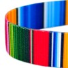 Country Brook Petz 4 Foot Dog Leash - Country and Western Collection - 4 of 4