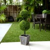Nearly Natural 3-ft UV Resistant Artificial Double Ball Boxwood Topiary with LED Lights in Decorative Planter (Indoor/Outdoor) - 4 of 4